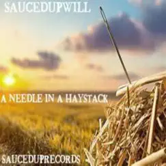 A Needle in a Haystack by SaucedupWill album reviews, ratings, credits