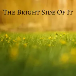The Bright Side of it Song Lyrics