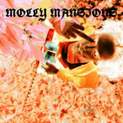 Molly Mansions (feat. NEGATIVEIGHTEEN) Song Lyrics