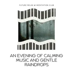 An Evening of Calming Music and Gentle Raindrops by Future Relax & Meditation Club album reviews, ratings, credits