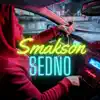 Sedno (feat. DJ Flip) - Single album lyrics, reviews, download