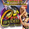 Festival De Tropiromanticas album lyrics, reviews, download