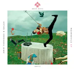 Meanwhile - Single by Amir Farhoodi & Saleh album reviews, ratings, credits