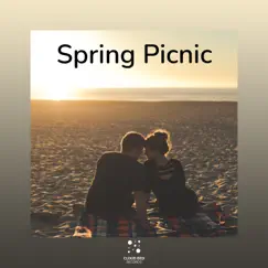 Make the time - EP by Spring Picnic album reviews, ratings, credits