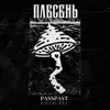 Плесень - EP album lyrics, reviews, download