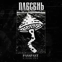 Плесень Song Lyrics