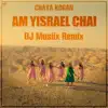 Am Yisrael Chai (Remix) - Single album lyrics, reviews, download