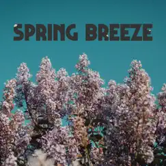 Spring Breeze Song Lyrics