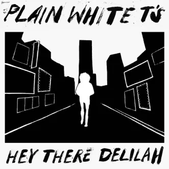 Download Light Up The Room Plain White T's MP3