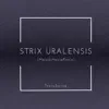 Strix Uralensis (feat. Miwa) [MelodicHouseRemix] [MelodicHouseRemix] - Single album lyrics, reviews, download