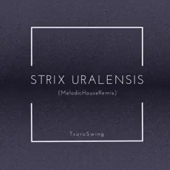 Strix Uralensis (feat. Miwa) [MelodicHouseRemix] [MelodicHouseRemix] - Single by TsuruSwing album reviews, ratings, credits
