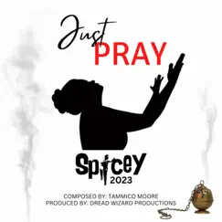 Just Pray - Single by SpiceY album reviews, ratings, credits