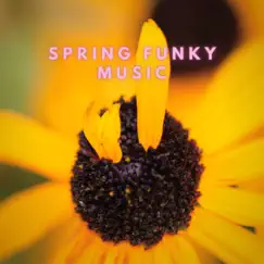 Spring Funky Music by R&B Music Club, Relax & Funk & Soul and Relax album reviews, ratings, credits