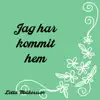 Jag har kommit hem - Single album lyrics, reviews, download