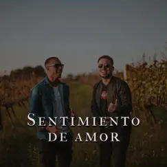 Sentimiento de amor (feat. Kevin Roman) - Single by Mati Costa album reviews, ratings, credits