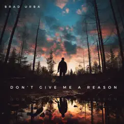 Don't Give Me A Reason Song Lyrics