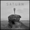 Saturn album lyrics, reviews, download