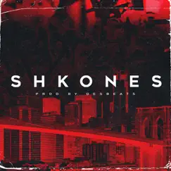 ShkOnes - Single by Des Beats album reviews, ratings, credits