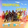 Tropical Vybz (Remix) - Single album lyrics, reviews, download