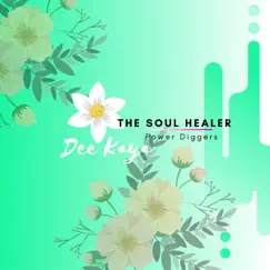 The Soul Healer by Power Diggers album reviews, ratings, credits