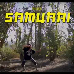 Samurai - Single by Gorila Girl album reviews, ratings, credits
