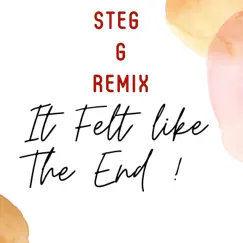 It Felt Like the End (feat. Steg G) [Steg G Remix] Song Lyrics