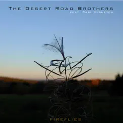 Fireflies (feat. Carl Verheyen) - Single by The Desert Road Brothers album reviews, ratings, credits