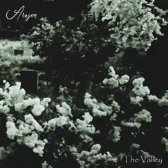 The Valley... - Single by Aragem album reviews, ratings, credits