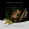 Swamp Sounds at Night - Frogs, Crickets, Light Rain, Forest Nature Sounds and Wild Jungle album lyrics, reviews, download