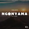 Ngonyama (Lion of Judah) (feat. Linda Hamweemba) - Single album lyrics, reviews, download