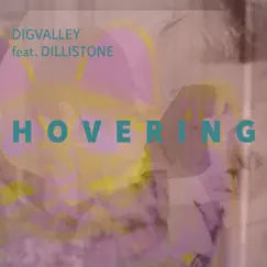 Hovering (feat. Dillistone) - Single by Digvalley album reviews, ratings, credits