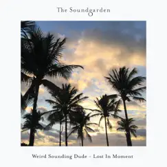 Lost In Moment - Single by Weird Sounding Dude album reviews, ratings, credits