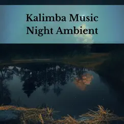 Kalimba Music, Night Ambient in Cozy Bedroom by Holistic Therapist album reviews, ratings, credits