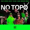 No Topo (feat. Kadri, Bivolt, Budah, Mikezin & Vk Mac) song lyrics