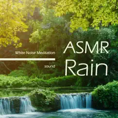 睡眠治癒之森 白噪音ASMR放鬆五感雨聲 by Noble Music ASMR & Noble Music Deep Sleep album reviews, ratings, credits