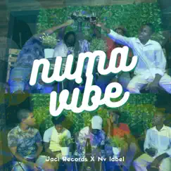 Numa Vibe, Pt. 1 (feat. Nv Label) - Single by Jaci Records album reviews, ratings, credits