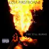 Fire Still Burns (Radio Edit) - Single album lyrics, reviews, download
