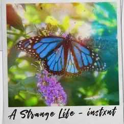 A Strange Life by Instxnt album reviews, ratings, credits