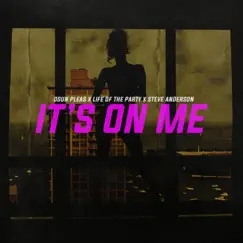 It's On Me (feat. Steve Anderson & Life of the Party) Song Lyrics