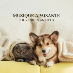 Musique apaisante pour chien anxieux: Berceuses apaisantes pour chiens anxieux et stressés by Détente Chat Zone & Calm Pets Music Academy album reviews, ratings, credits