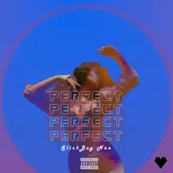 Perfect - Single by SlickBoy Nae album reviews, ratings, credits