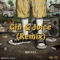 Gin & Juice (Remix) [Remix] - Single by BigVo album reviews, ratings, credits