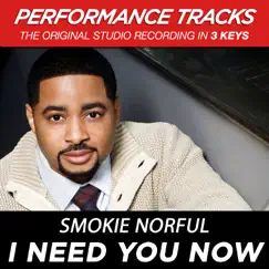 I Need You Now (Performance Track In Key of B) Song Lyrics