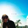 R U Ok - Single album lyrics, reviews, download