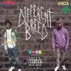 Different Breed (feat. Stacck1st) - Single album lyrics, reviews, download