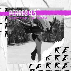 PERREO 9.5 Song Lyrics