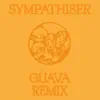Sympathiser (Guava Remix) song lyrics