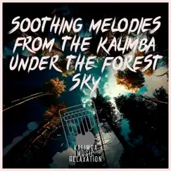 Soothing Melodies from the Kalimba under the Forest Sky by Kalimba Music Relaxation album reviews, ratings, credits