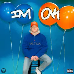 I'm Ok - Single by Wayne Jetski album reviews, ratings, credits