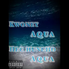 Aqua Aqua - Single (feat. Hec Huncho) - Single by Kwoney album reviews, ratings, credits